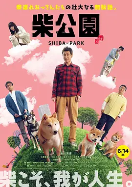 欧美人与动